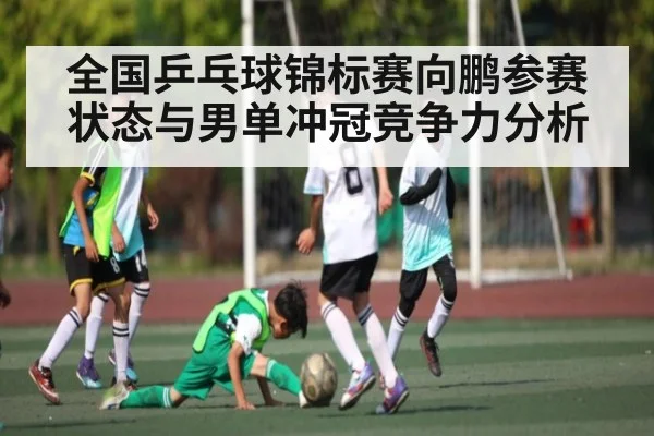 全国乒乓球锦标赛向鹏参赛状态与男单冲冠竞争力分析（Kaiyun）